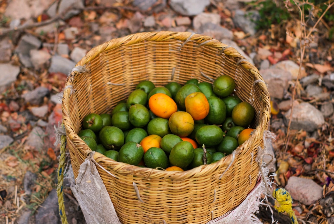 Fruta de temporada
